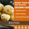 Kestrel_Seed_Potatoes