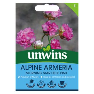 Alpine Armeria Morning Star Deep Pink