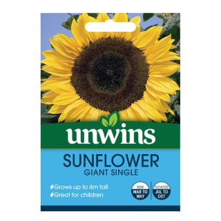 Sunflower Giant Single