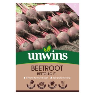 Beetroot Bettollo F1