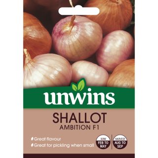 Shallot Ambition F1