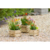 Marford Planter - Image 2